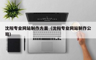 景德镇沈阳专业网站制作方案（沈阳专业网站制作公司）